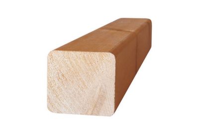 עץ אורן 7x7 ס״מ